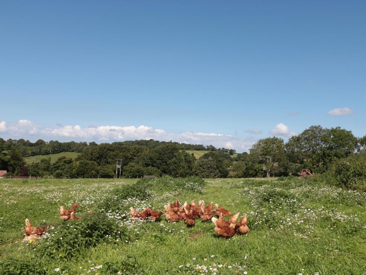 The Cider Shed Leilighet Winscombe Eksteriør bilde